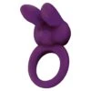 ToyJoy Eos The Rabbit C-Ring Purple -Sexspielzeug Geschäft eos the rabbit c ring purple