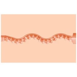 Fleshlight Girls - Maitland Ward Tight Chicks -Sexspielzeug Geschäft fleshlight girls maitland ward tight chicks5