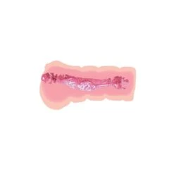 Super Wet Travel Beaver Skin -Sexspielzeug Geschäft super wet travel beaver skin6