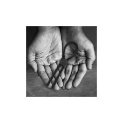 Velv'Or Rooster Ragnar Lasso Design Cock Ring Black -Sexspielzeug Geschäft velvor rooster ragnar lasso design cock ring black4